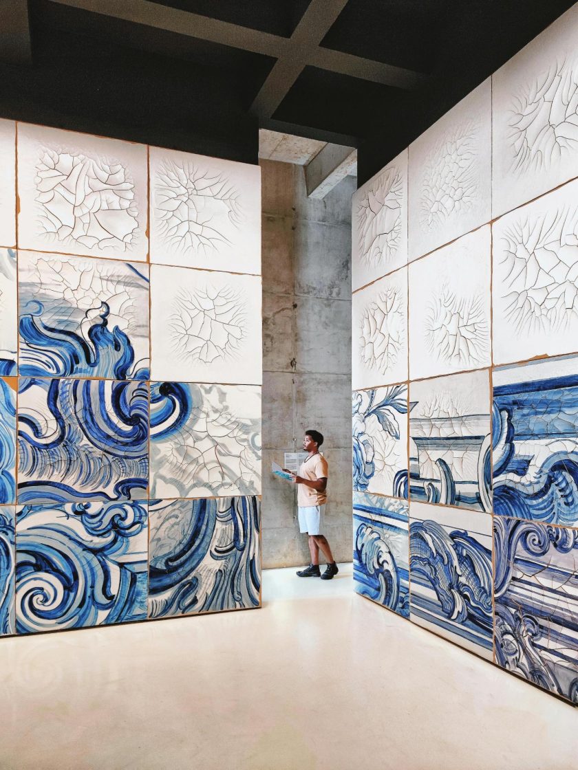Obra Celacanto provoca maremoto, de Adriana Varejão