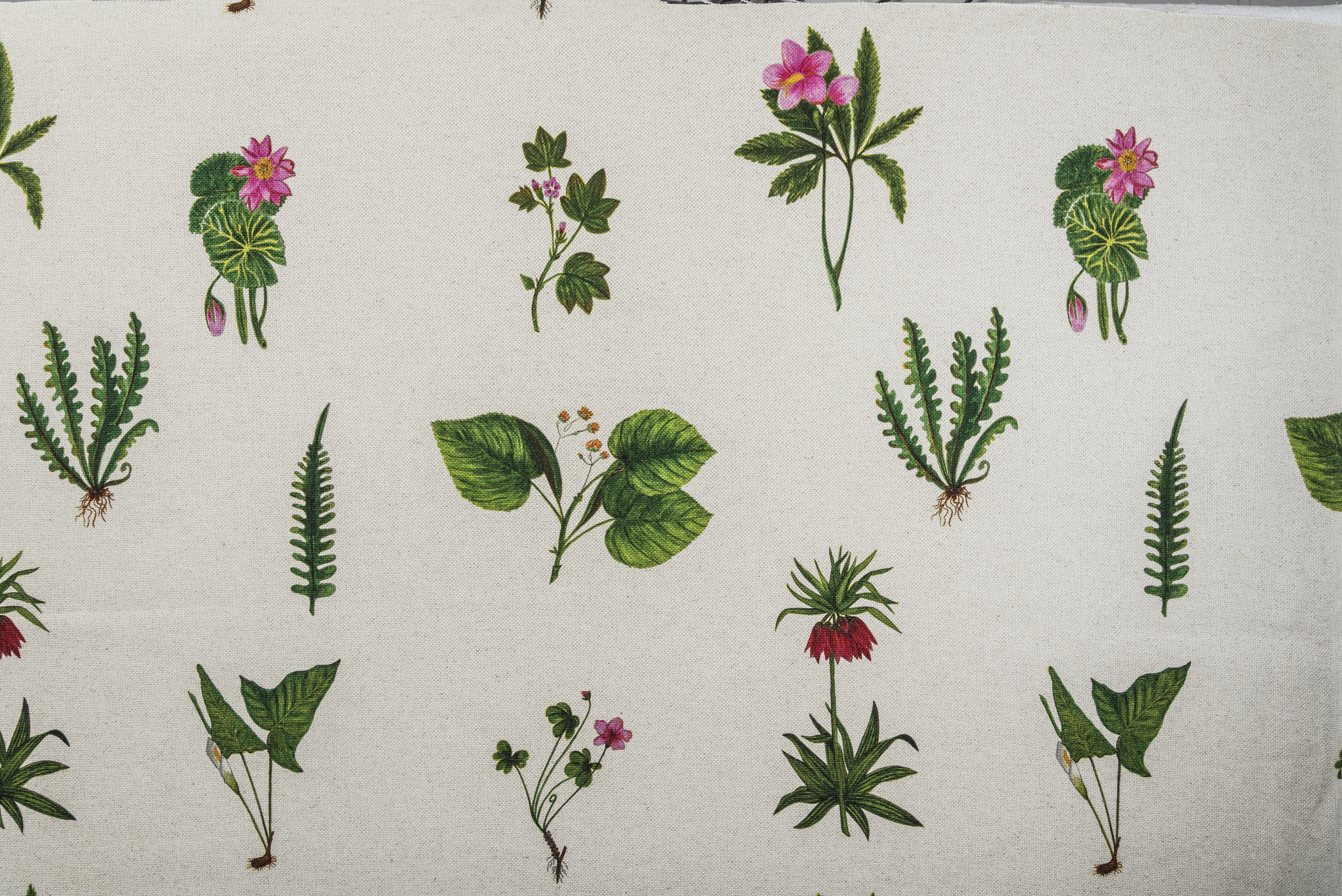 Estampa Botanica, por Dan Fialdini. “A Mata Atlântica possui uma diversidade extraordinária de flores exóticas e eu poderia passar dias pintando todas elas”. Imagem: Edson Garcia.