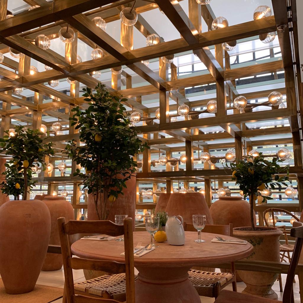 Vasos de cerâmica terracota e limoeiros destacam ambiente interno do Citron Café