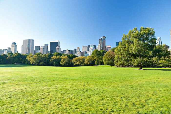 Cidades verdes: Central Park com muitas árvores no meio de Manhattan 
