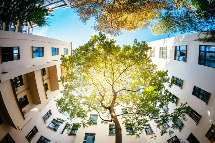 Cidades verdes: Árvore no meio de um prédio residencial
