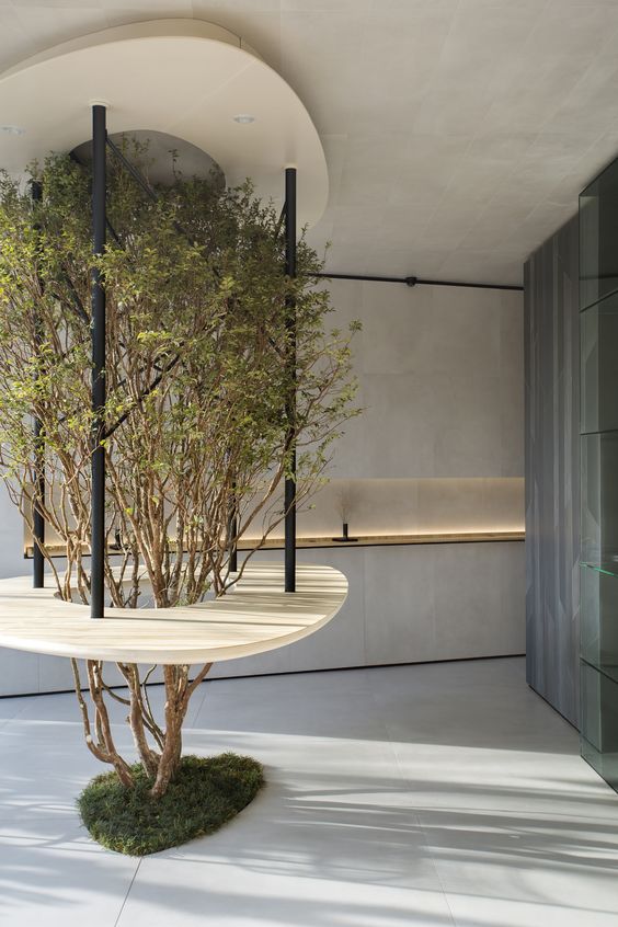 Idealizado por Jader Almeida, o Café Officina Portobello destaca-se pela mesa central ao redor de uma árvore (Foto: Officina Portobello)