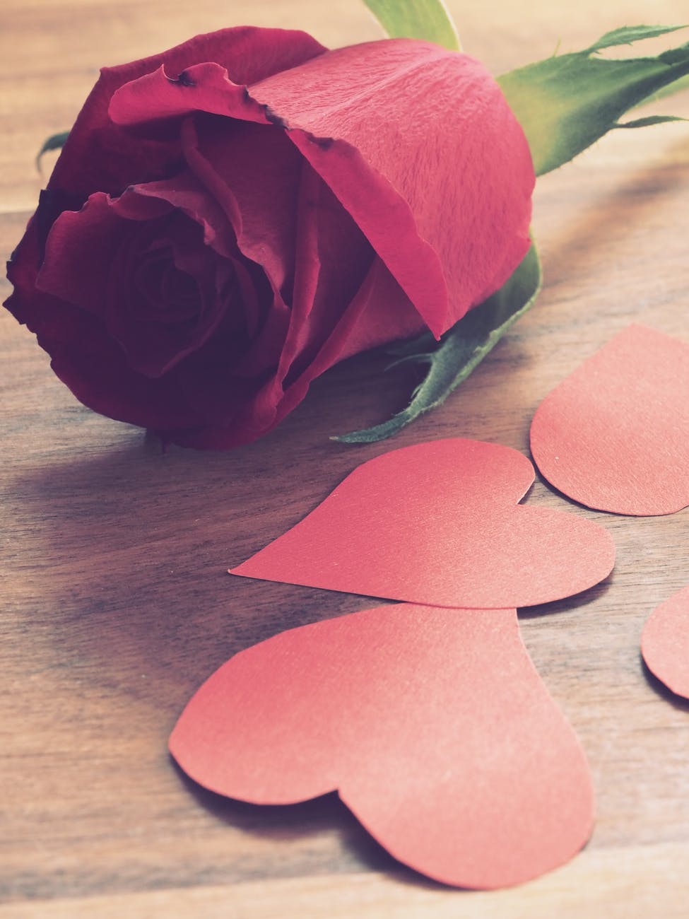 Decoração para dia dos namorados - As flores podem ser usadas para compor um caminho até o cômodo em que será realizada a celebração