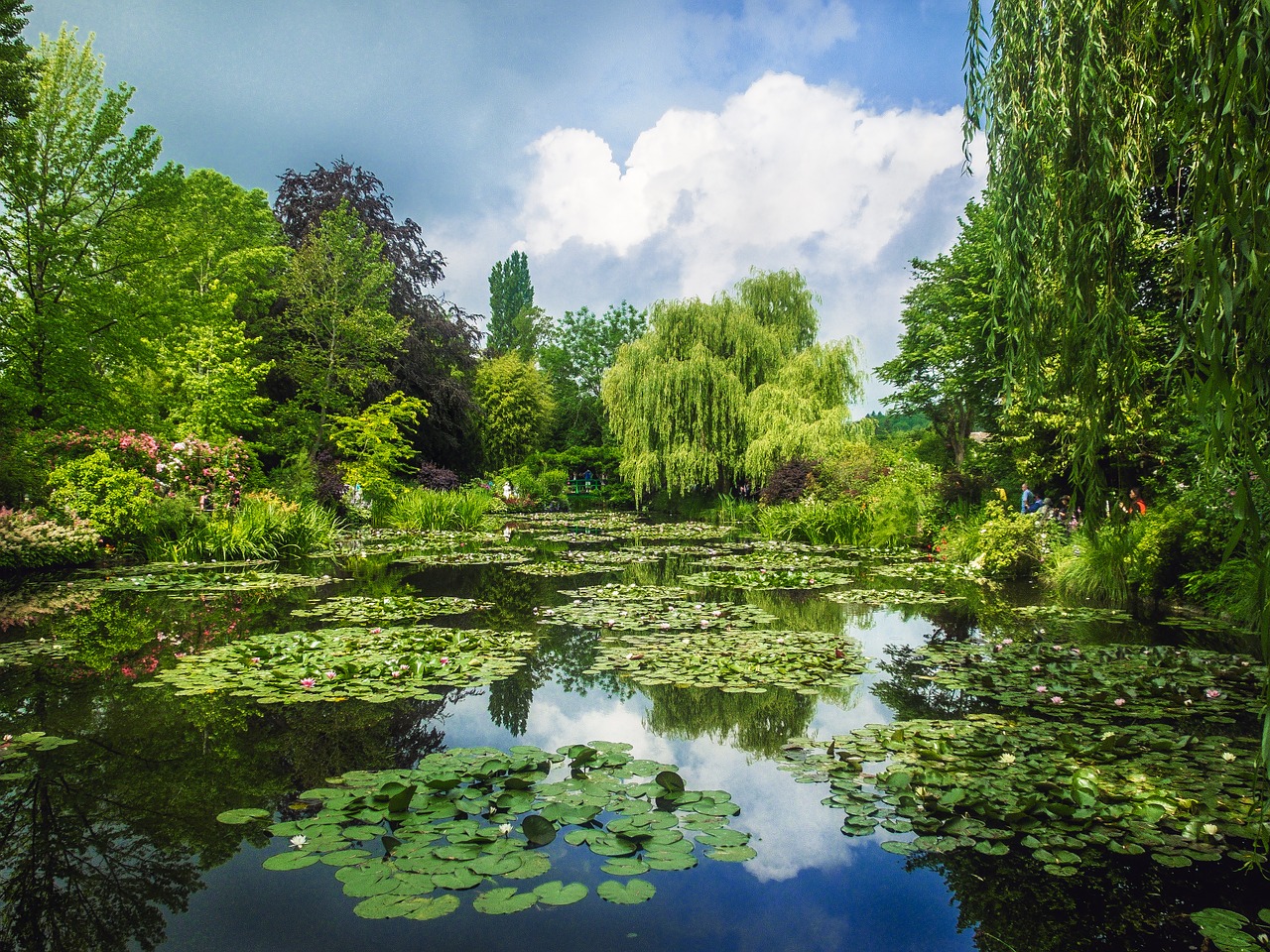 Casa e Jardins de Monet - Water Garden em Giverny