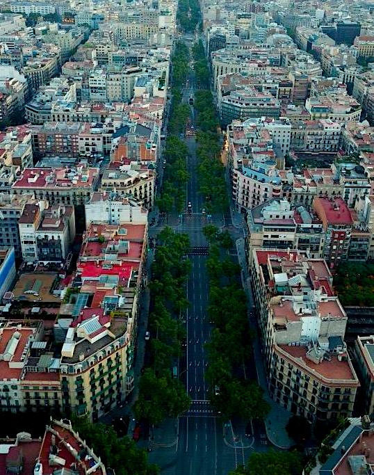 Ruas amplas e arborizadas cortam a cidade em diagonais Foto: Paulo Pusset