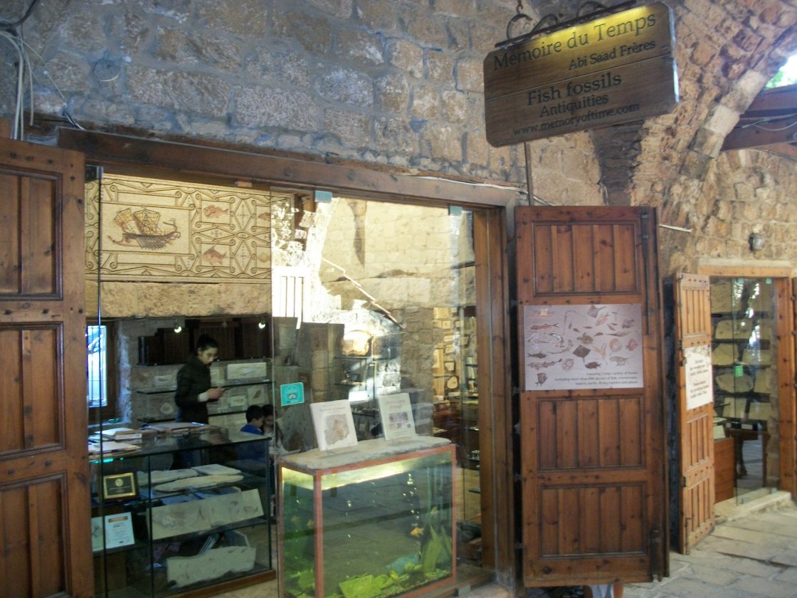 Byblos Fossil Museum