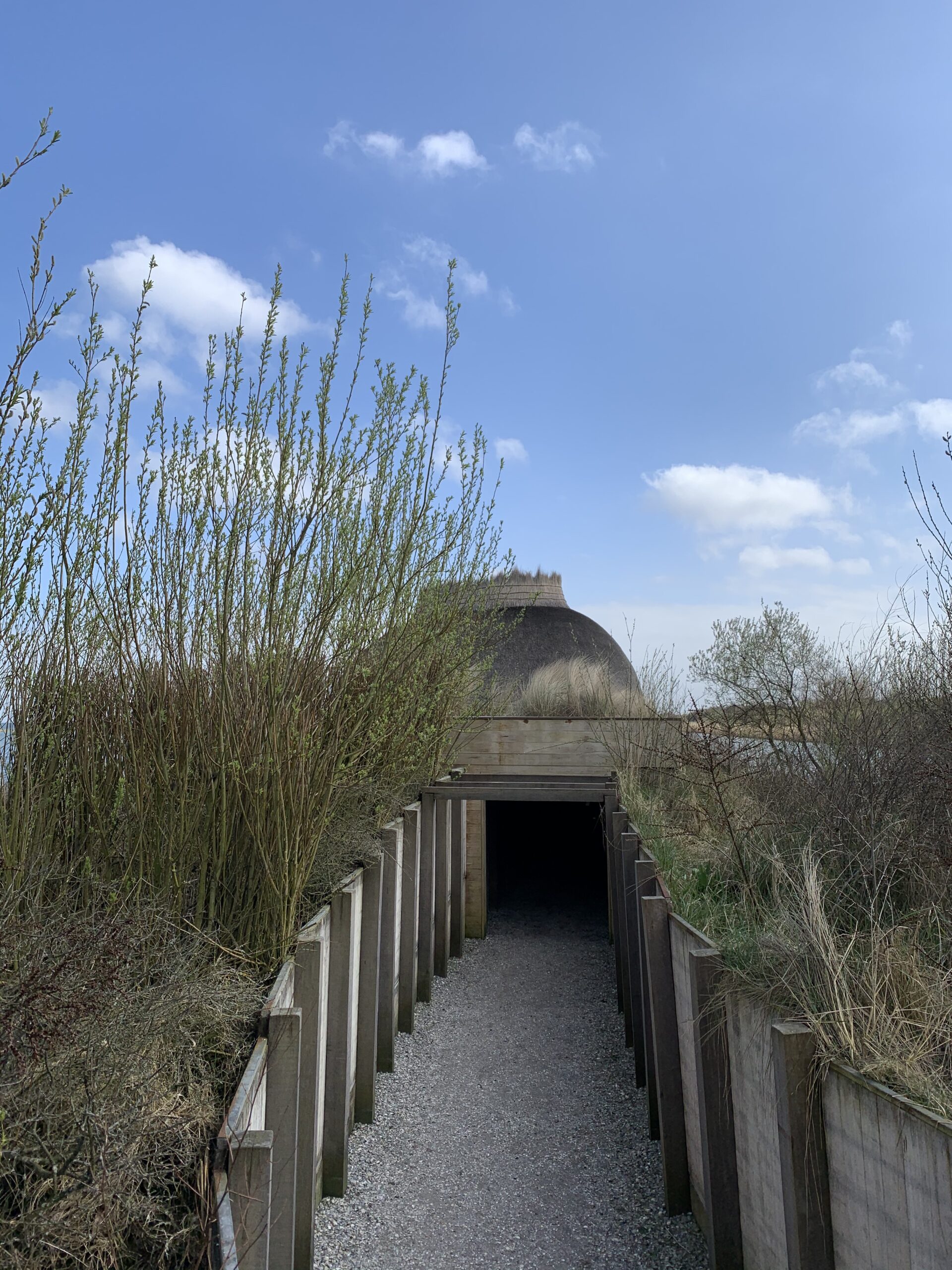 A entrada do Observatório Tij se dá através de um pequeno túnel, possibilitando aos visitantes se aproximarem dos pássaros de forma "invisível" (Foto: Ana Luiza Camargo)