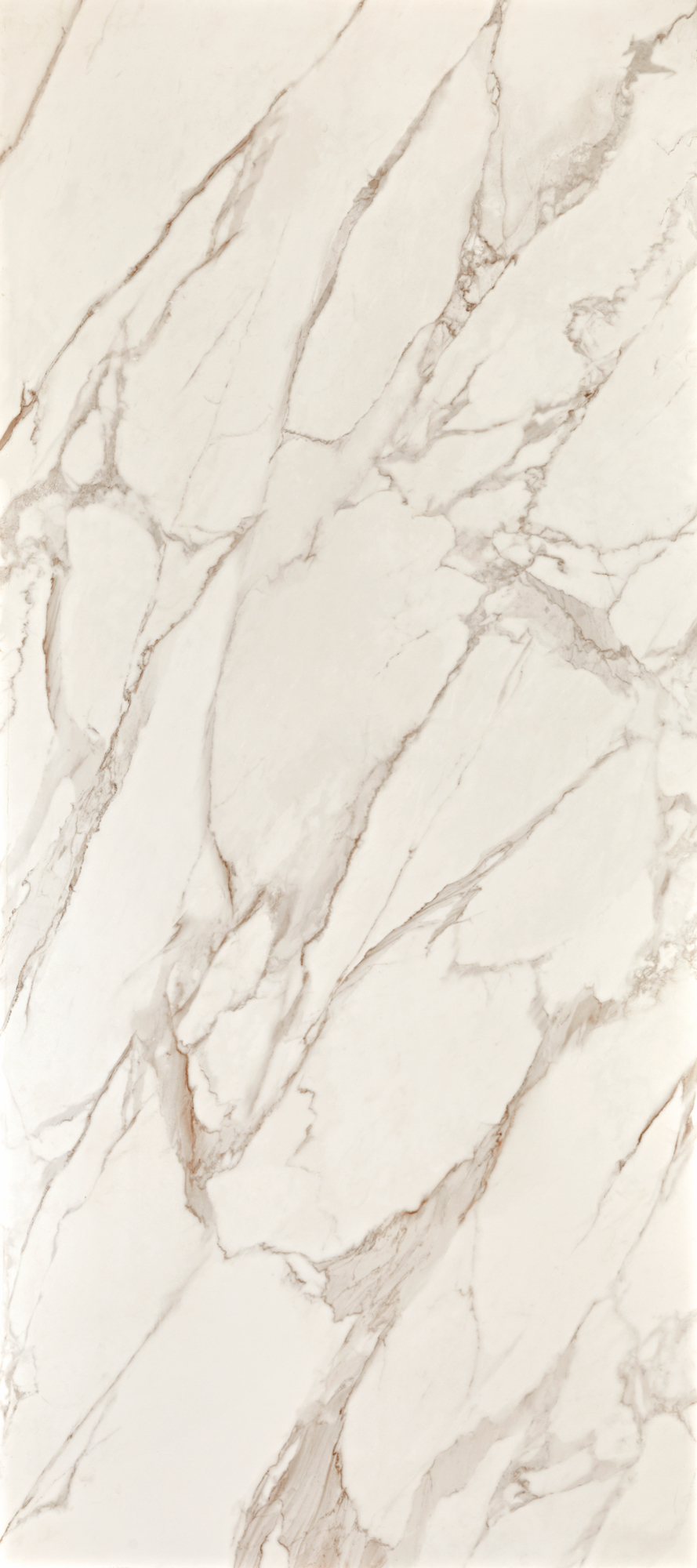 O Bianco di Lucca é um dos mármores brancos mais famosos da Itália. A Portobello possui produtos capazes de recriarem fielmente a textura dele