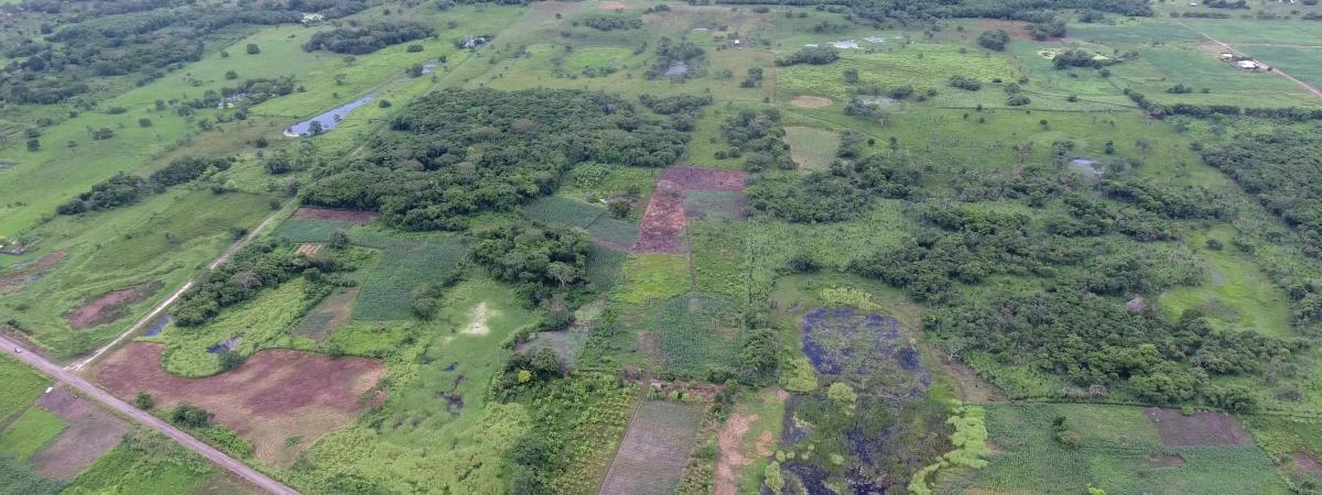 Descoberta em 2020, Aguada Fénix é a maior ruína maia encontrada até hoje