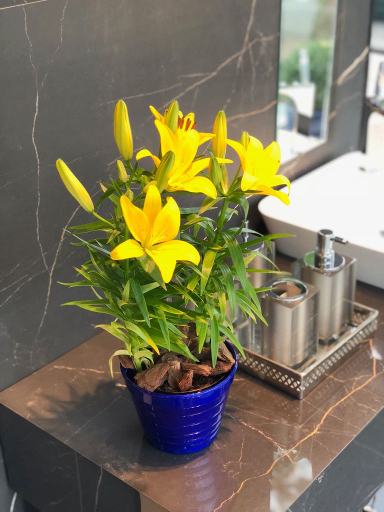 Decoração com flores amarelas em banheiro