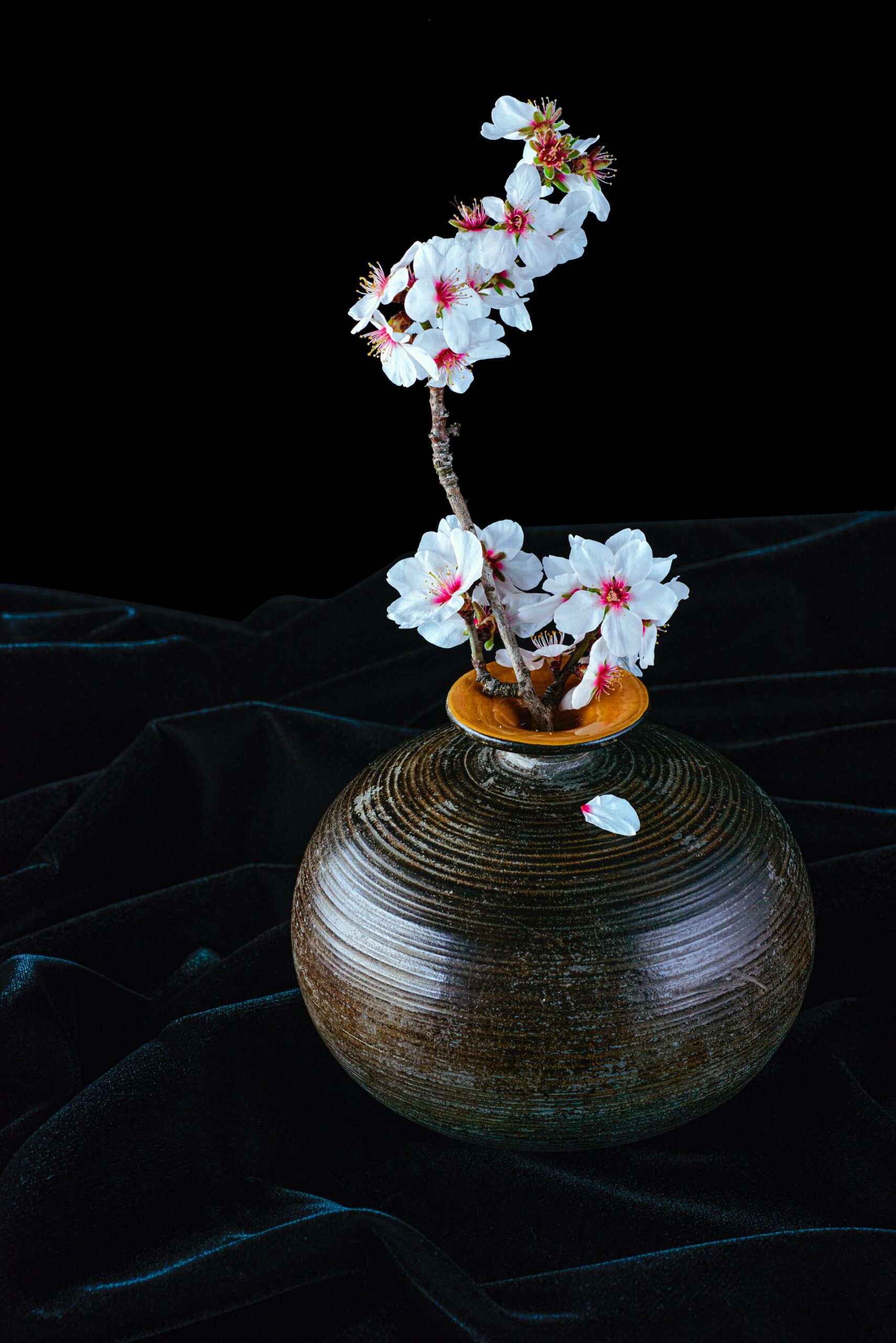 Ikebana em vaso escuro