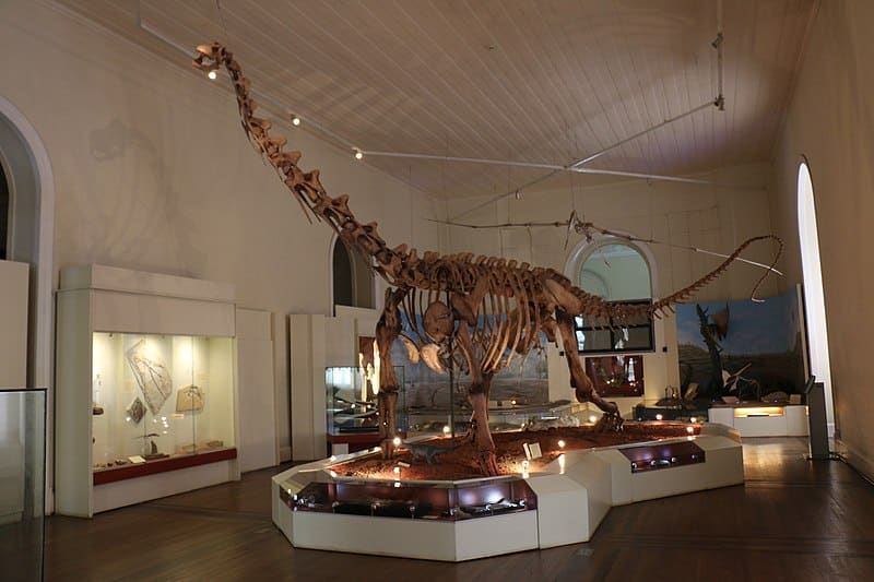 Museu Nacional, dinossauro