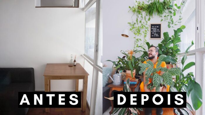 apartamento com plantas antes e depois