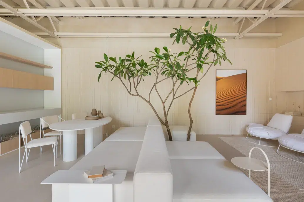 sala de estar e jantar integrada da cor branca com uma planta grande do lado do sofá 