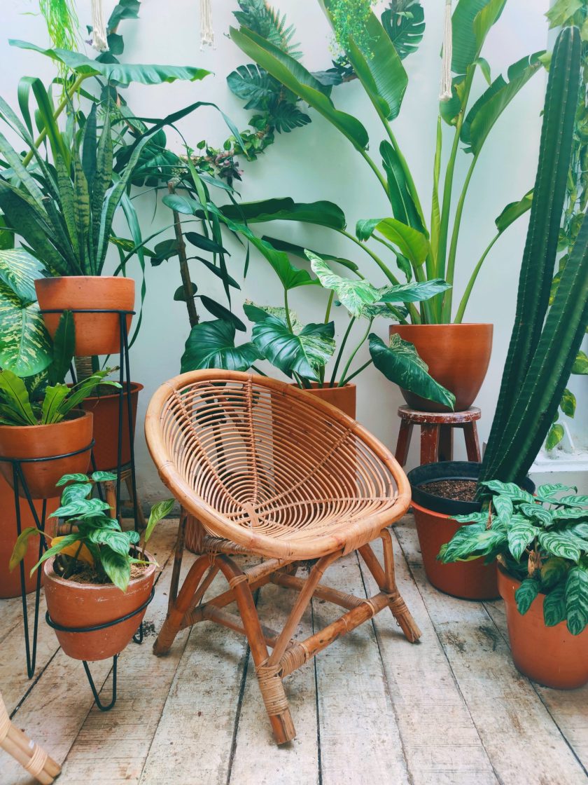 Cadeira de fibra natural entre diferentes vasos de plantas 