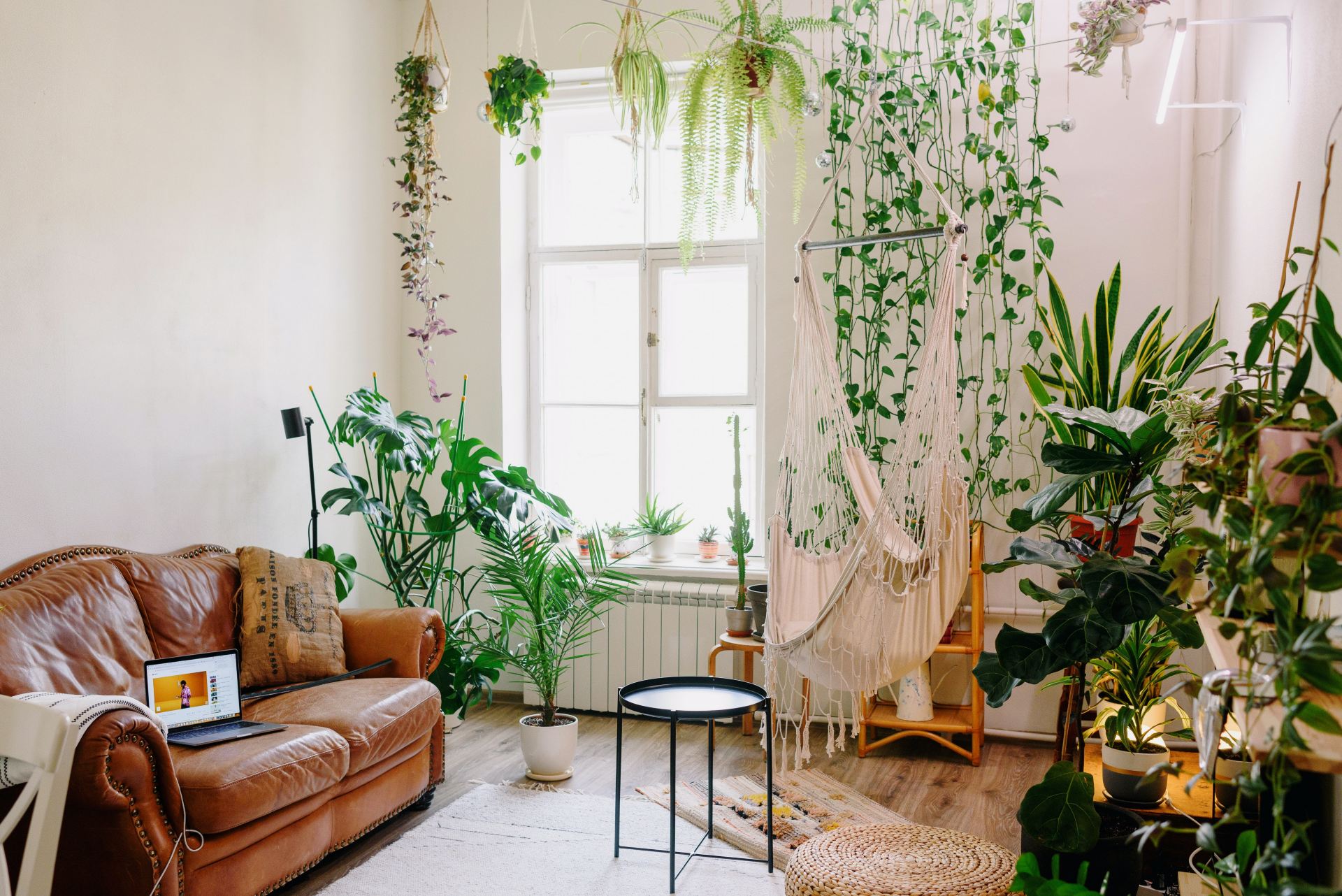 Sala de estar com plantas e sofá de couro caramelo