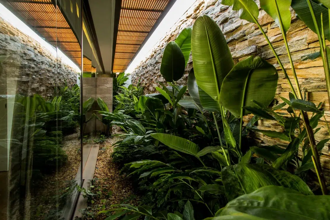 Jardim interno com parede de pedras, plantas altas e cascalhos