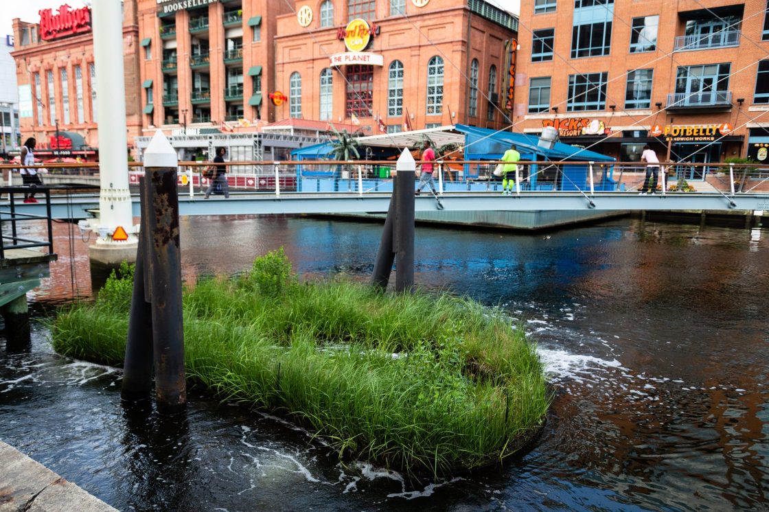Pântano flutuante construído na cidade de Baltimore, EUA