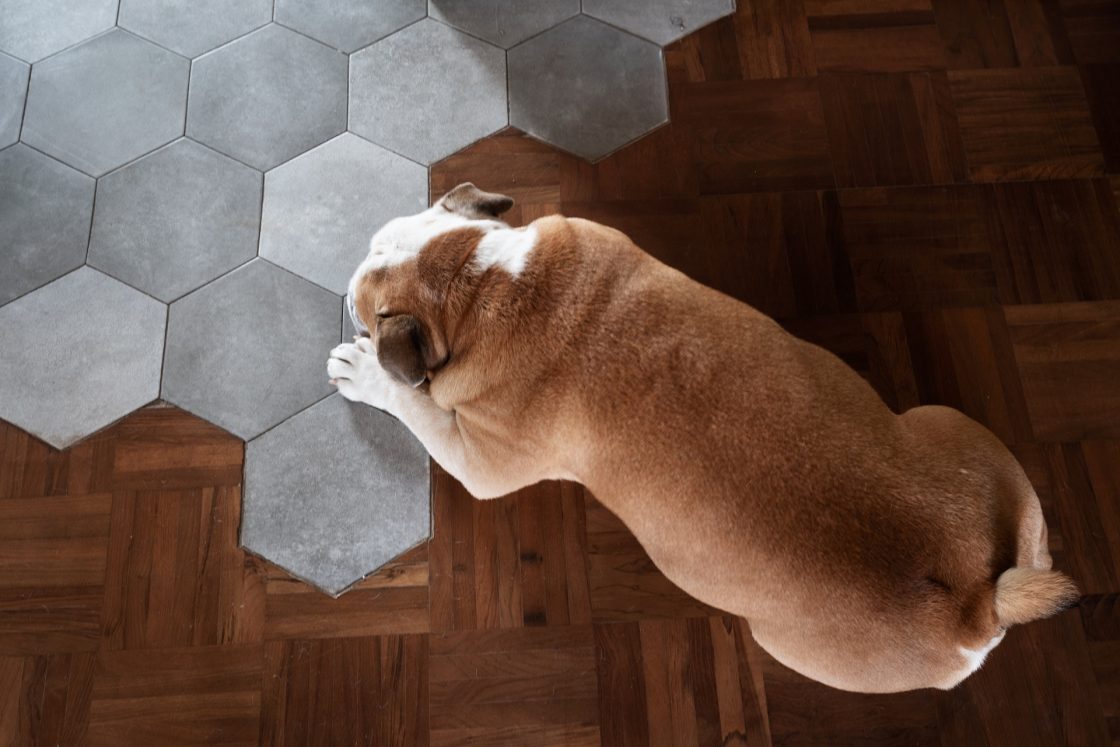 piso com formato geométrico em porcelanato