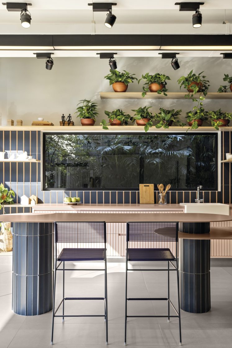 Cozinha moderna em tons de azul e com muitas plantas