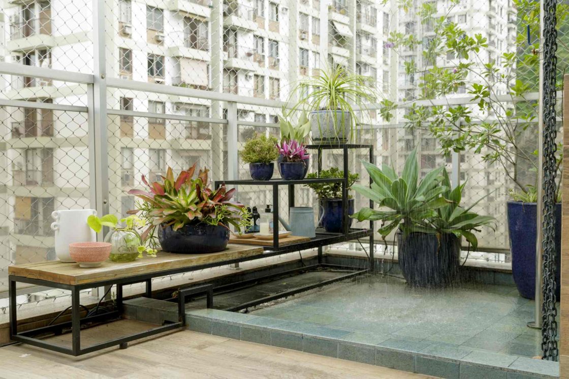 Cobertura com plantas e espelho d'água