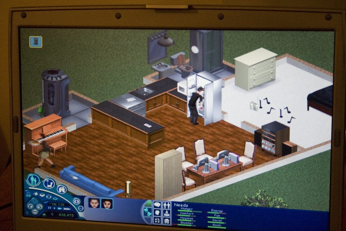 the sims

