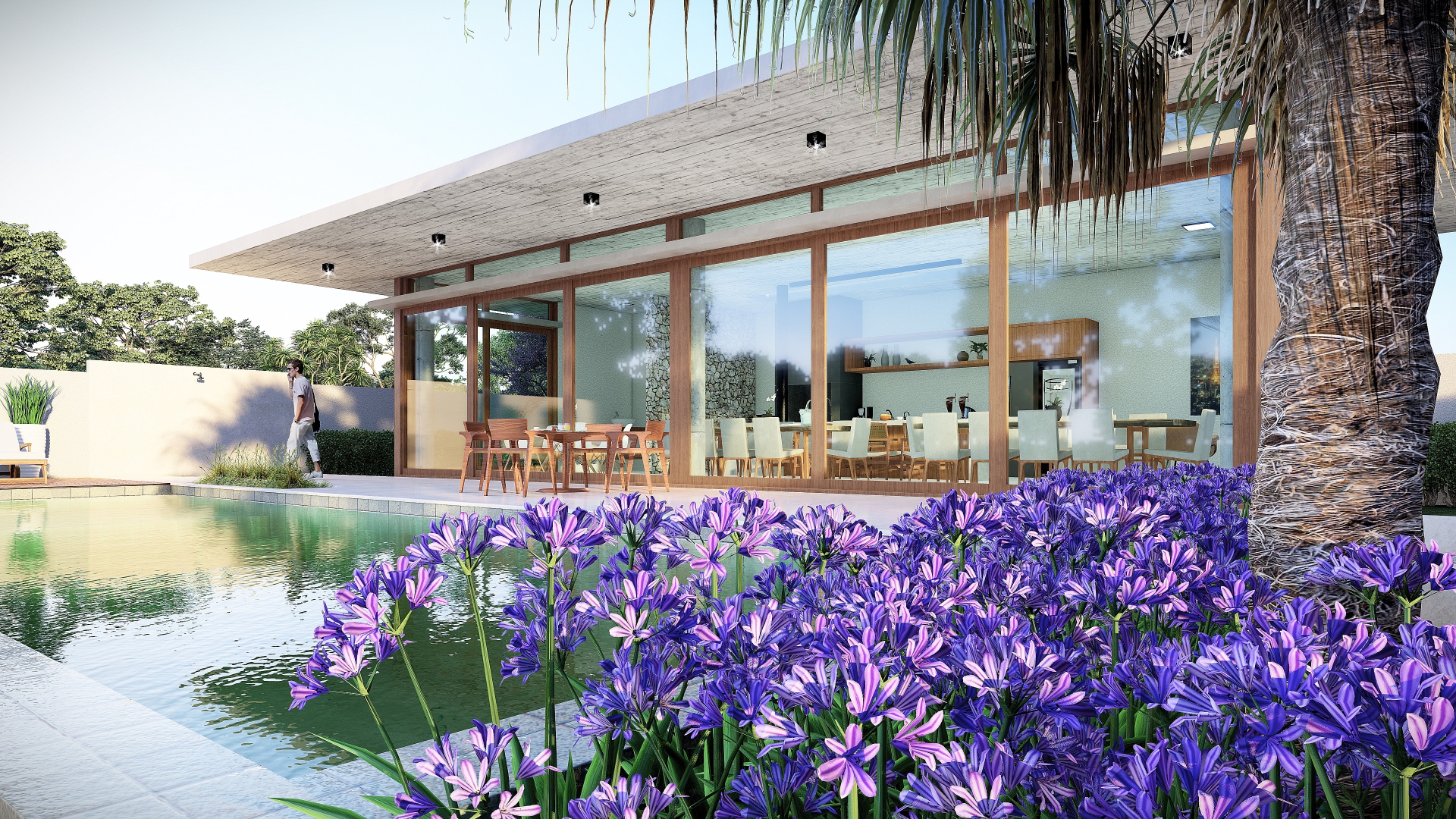 Jardim com flores agapanto, piscina e palmeira, casa com grandes esquadras de vidro