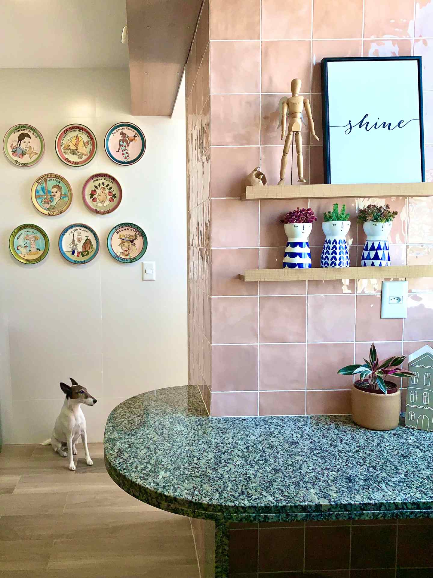 À frente, bancada de cozinha com parede de azulejos rosas. Ao fundo, parede com quadros decorativos. Há um cachorro no chão