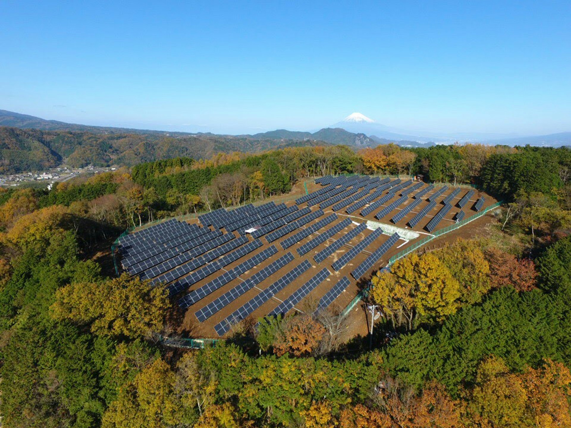 fazenda de produção de energia solar com placas de captação envoltas de árvores, paisagem rural, céu azul