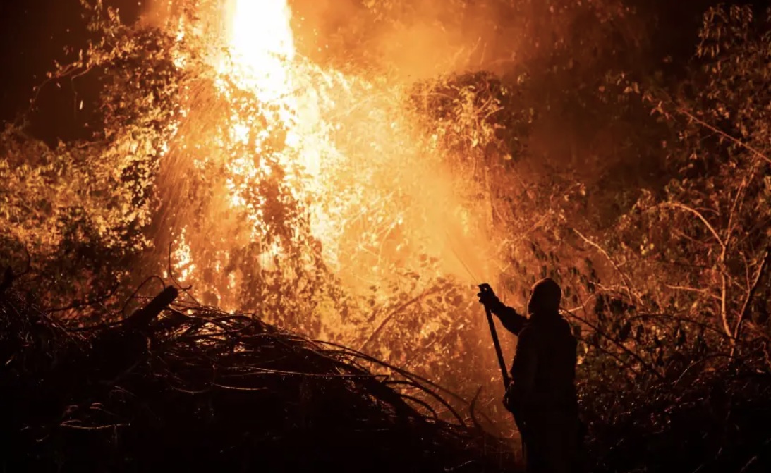 Mostra reúne imagens registradas pelo fotógrafo Lalo de Almeida no Pantanal em 2020, quando incêndios devastaram cerca de 26% da área do ecossistema e mataram mais de 17 milhões de animais 