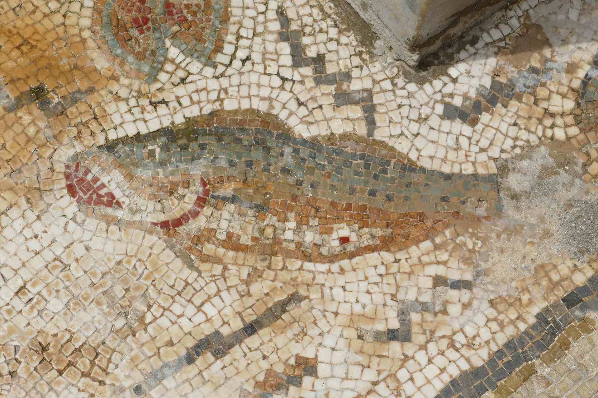 Mosaico tradicional romano na Tunísia