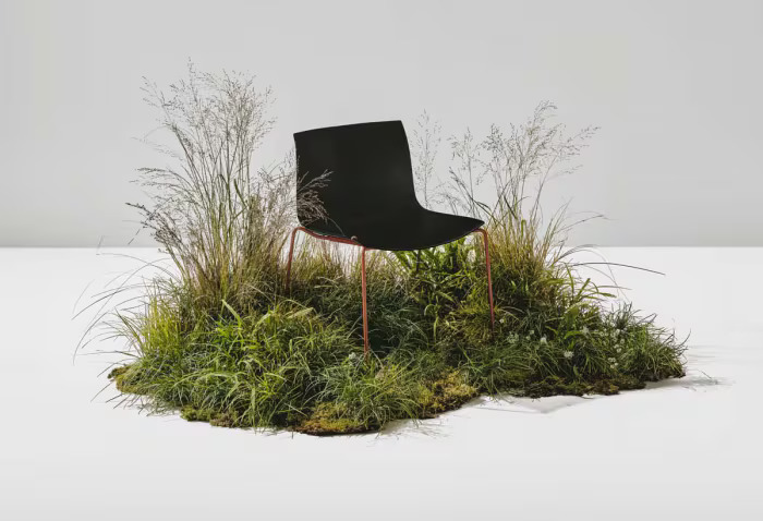 Cadeira preta em meio a plantas