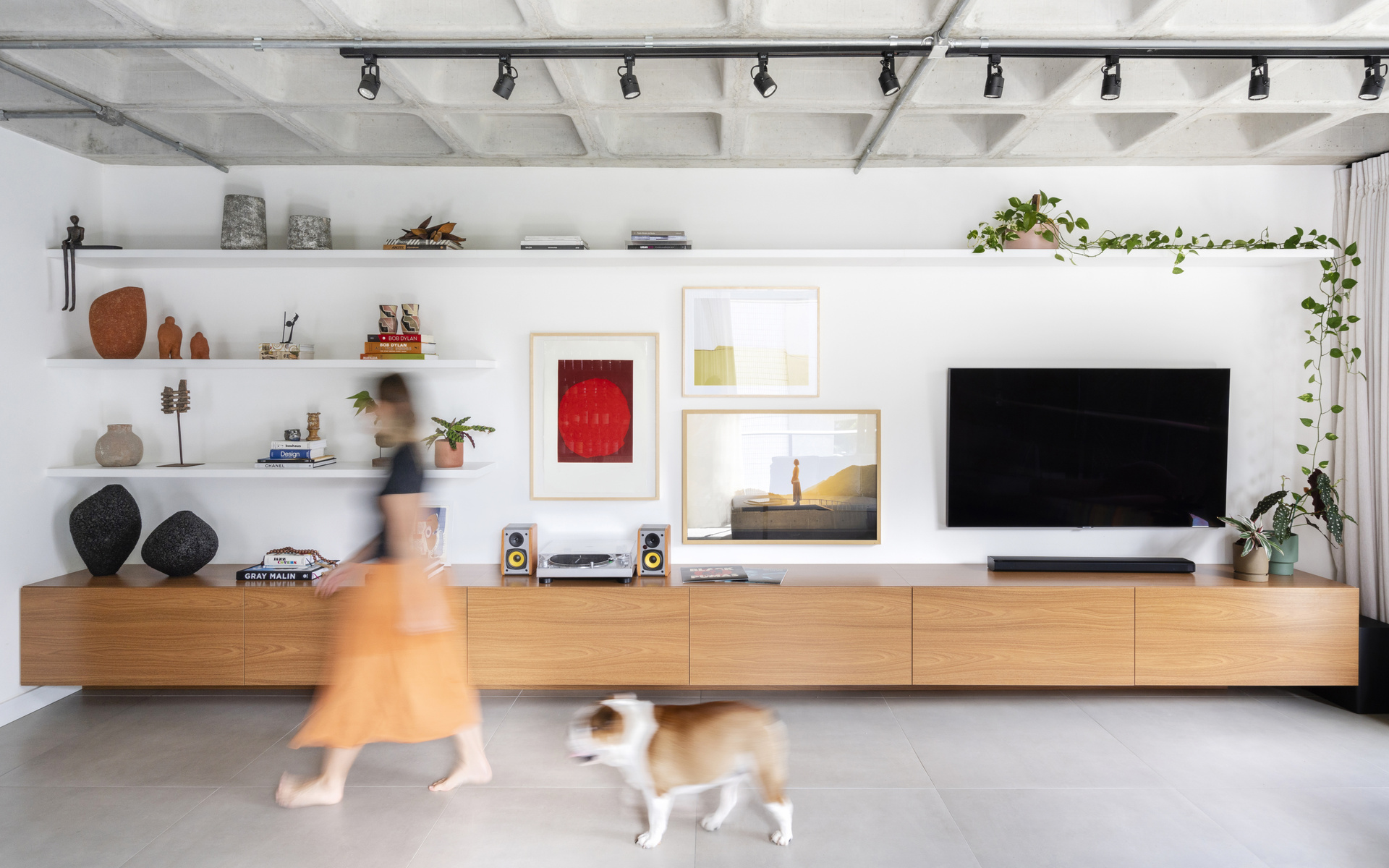 Sala de estar com estante, quadros na parede, TV e um rack em madeira. Uma mulher e um cachorro passam à frente