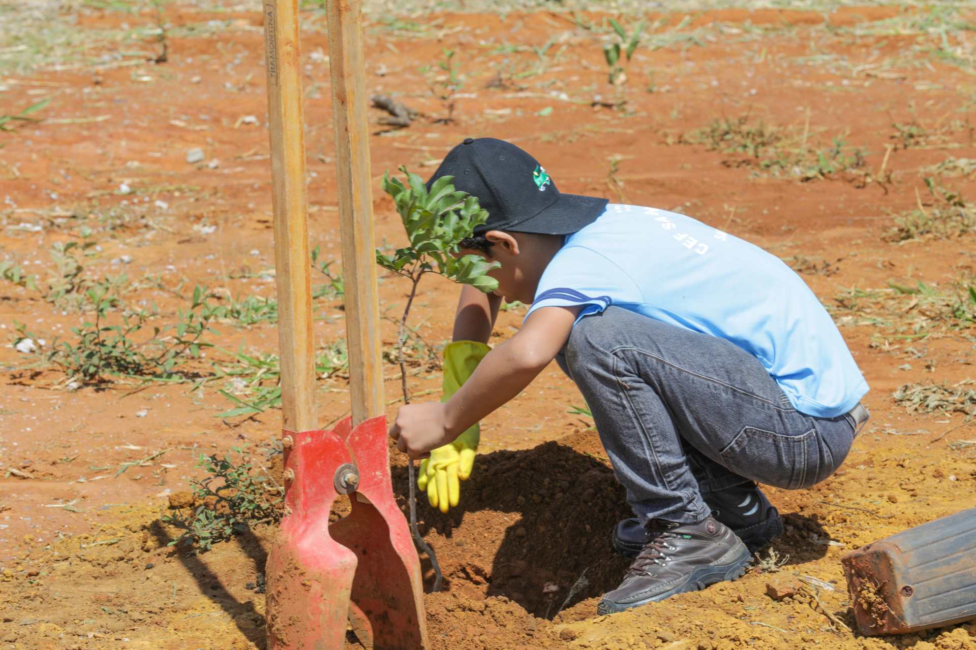 agricultura urbana