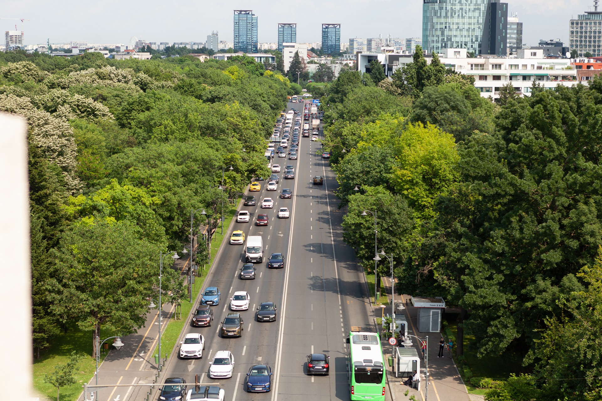 Avenida cheia de carros durante o dia. Ela é cercada por áreas verdes