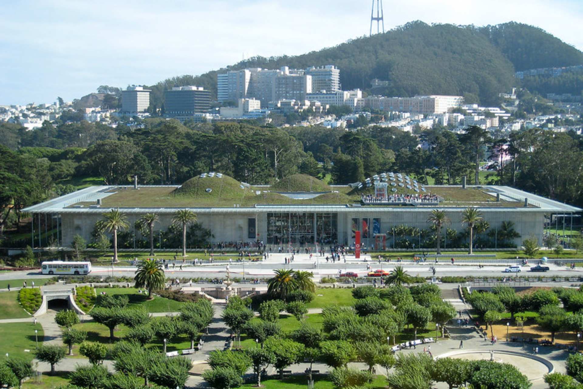 Academia de Ciências da Califórnia