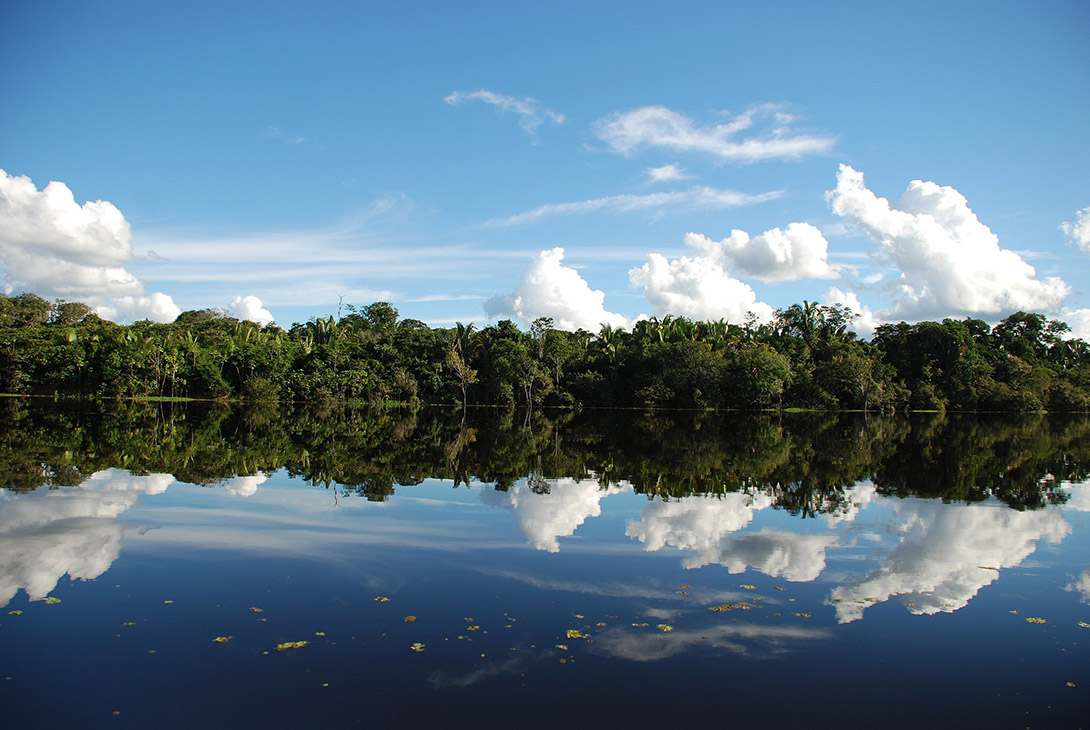 amazônia