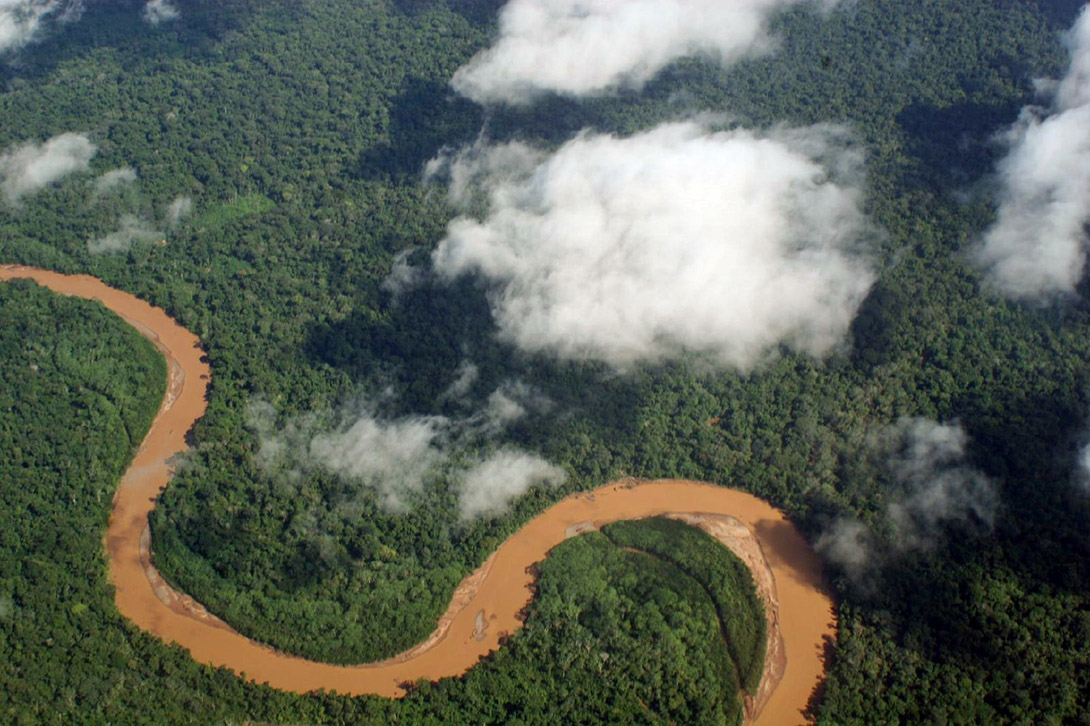 amazônia