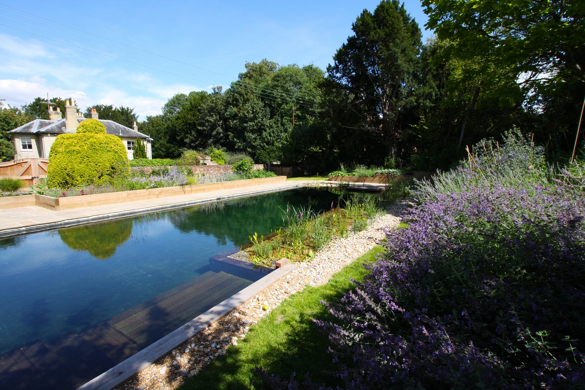 Piscina biológica perto de uma casa, com plantas ao redor