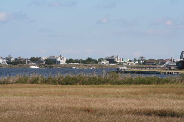 Portobello