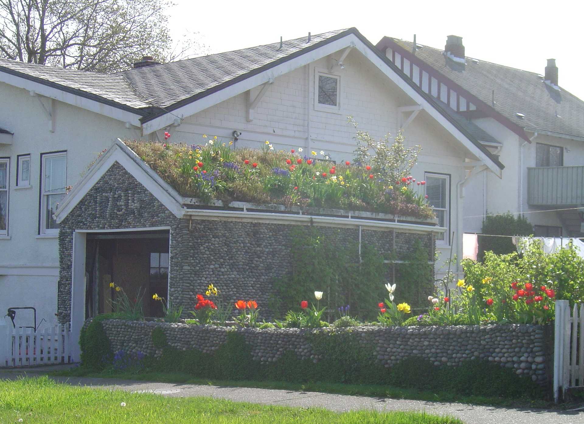 telhado verde