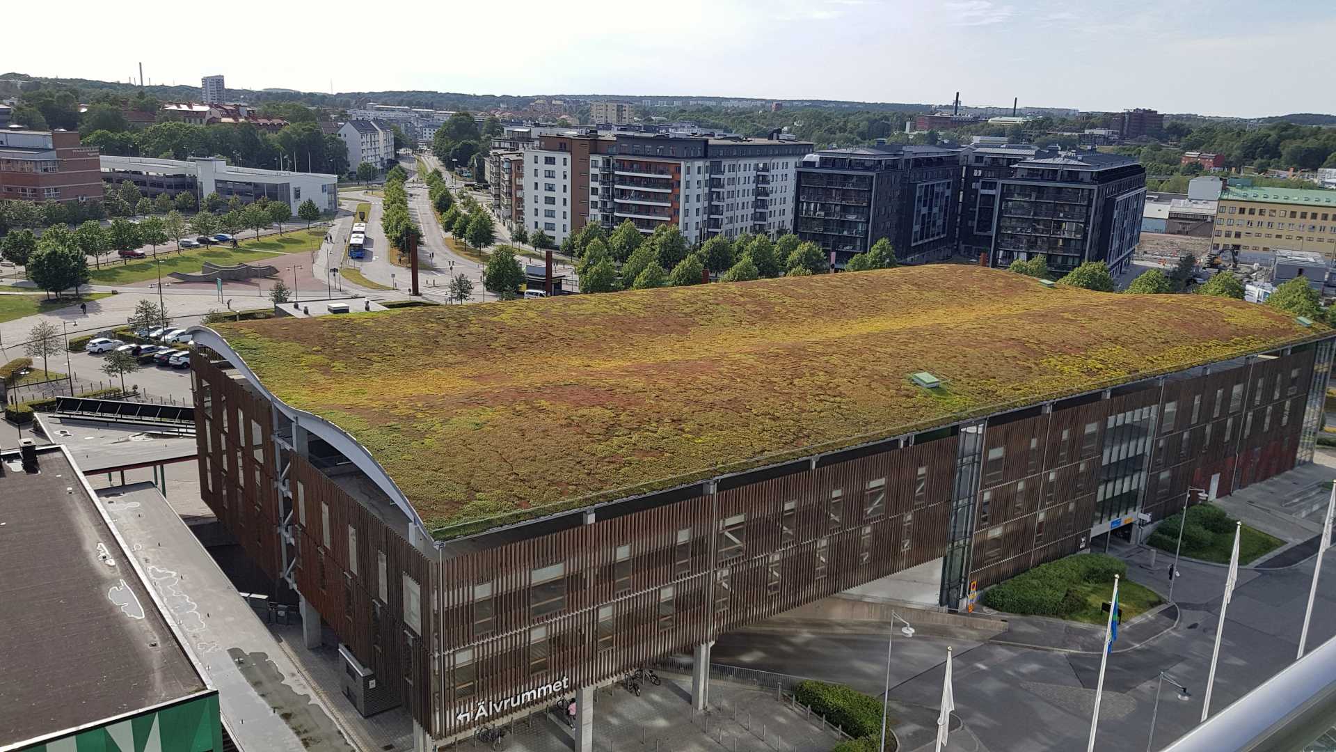 telhado verde