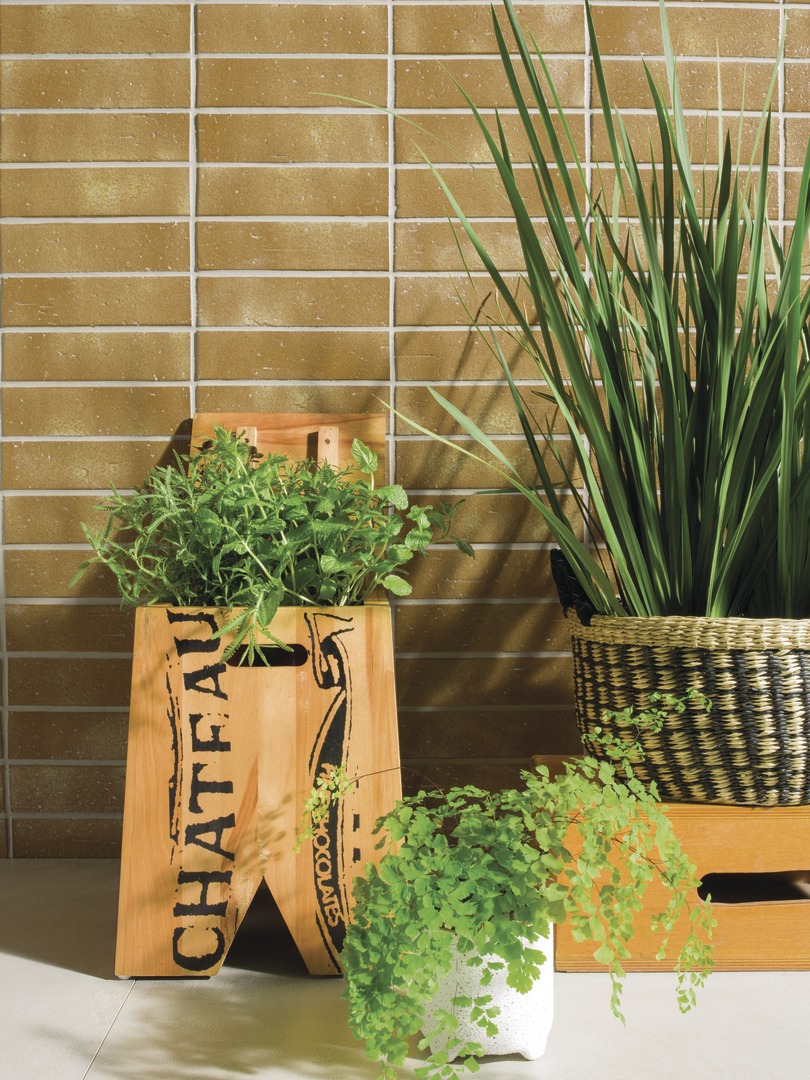 Horta em casa Tenha carinho ao fazer uma horta