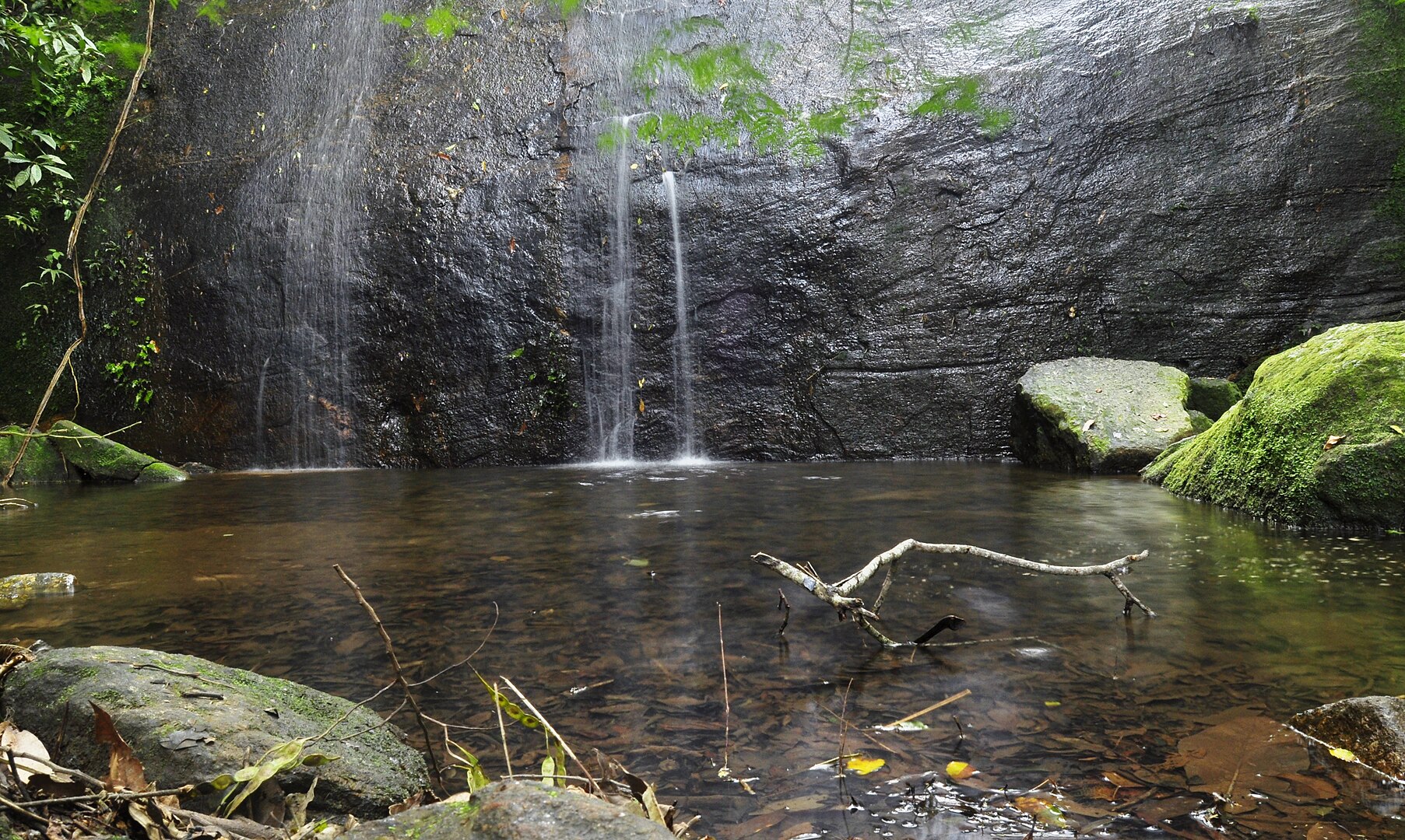 cachoeira no parque nacional da tijuca