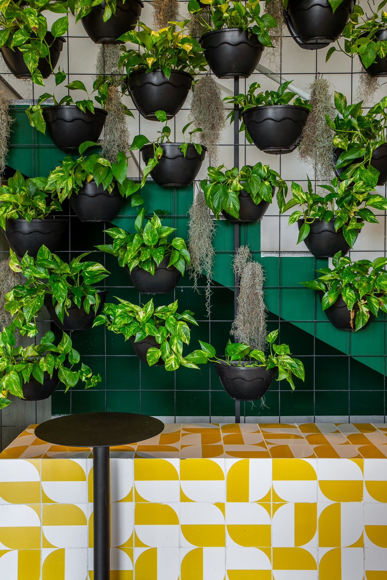 Elementos naturais e design minimalista se encontram neste ambiente, onde o verde das plantas ganha destaque entre móveis pretos e detalhes em cerâmica colorida