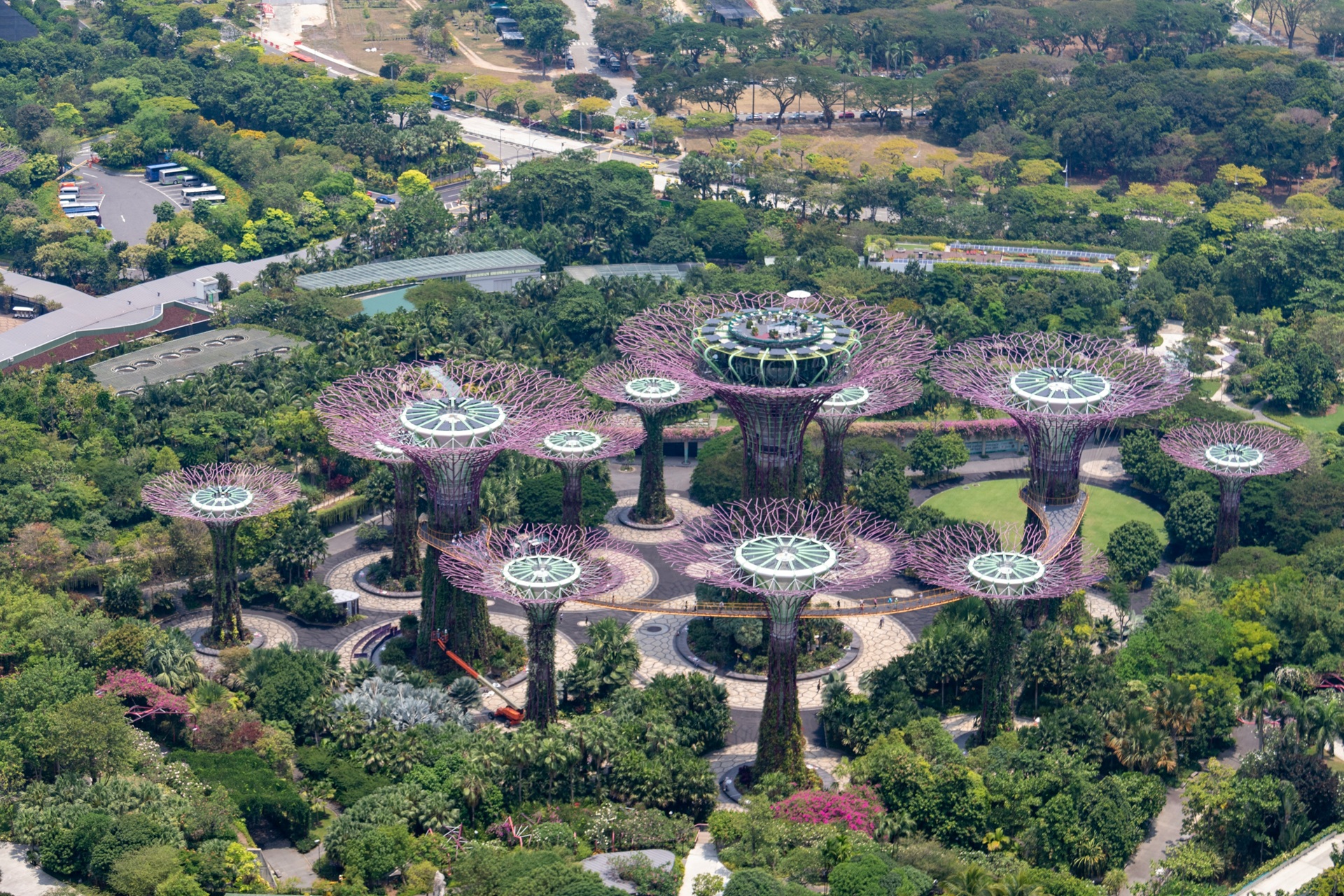 Imagem aérea da Supertree Grove, em Singapura