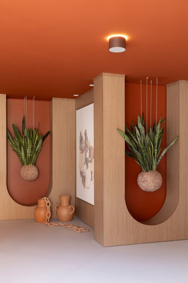 kokedama na decoração de parede