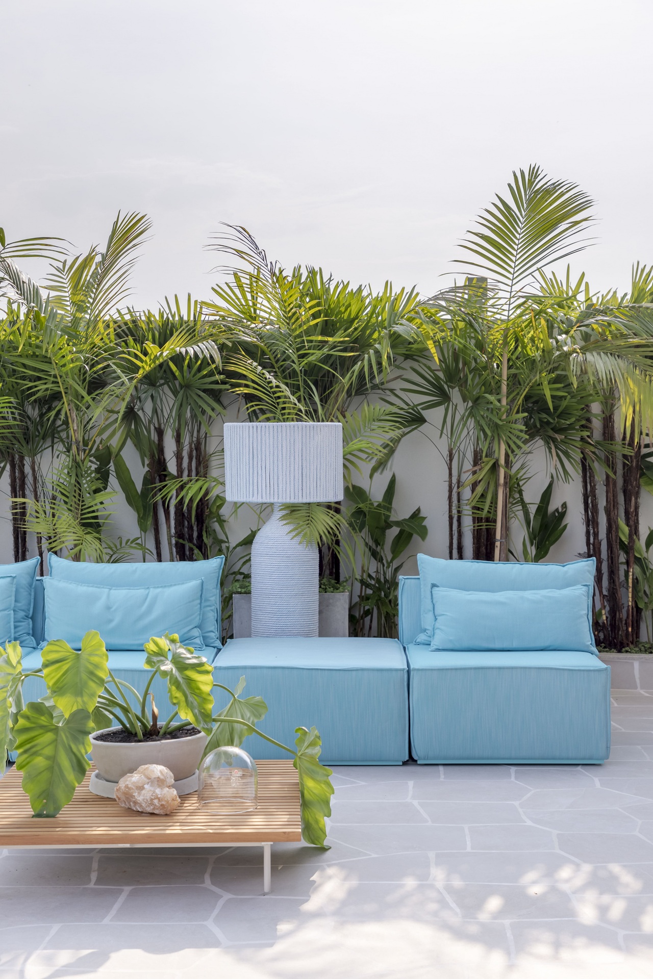 Área externa com sofá azul e plantas ao fundo