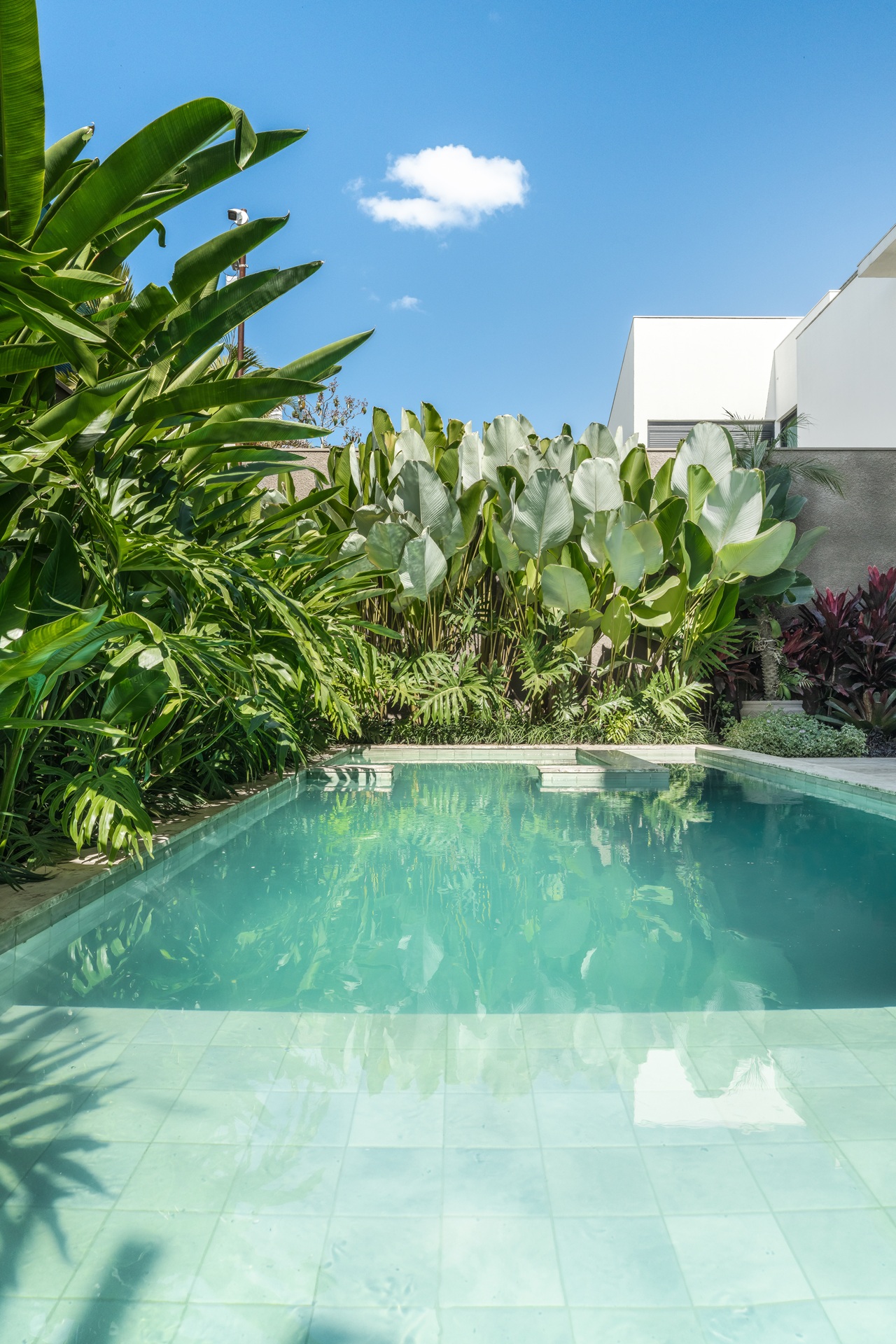 Piscina com paisagismo no entorno