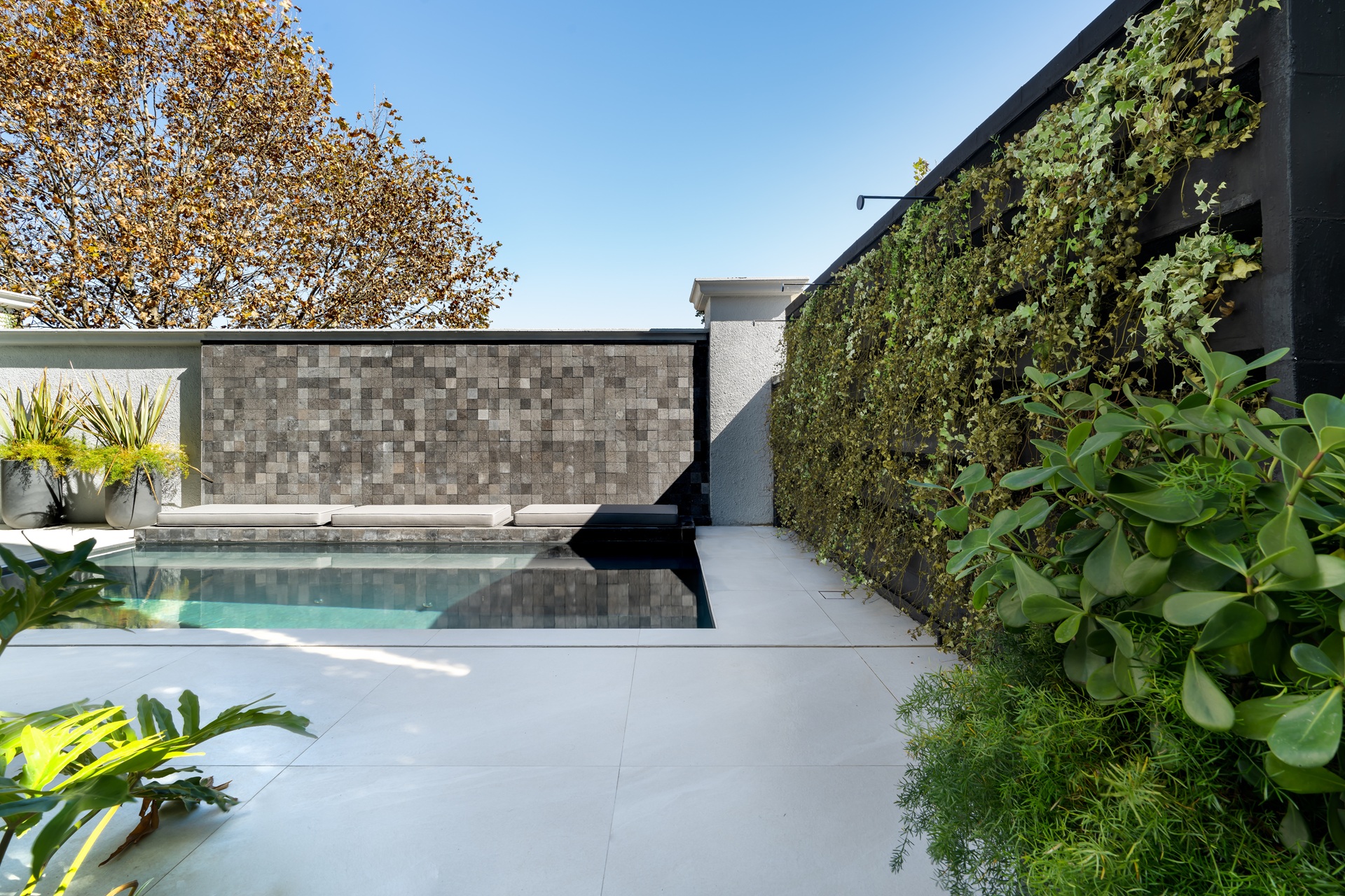Área externa com jardim vertical e piscina em alvenaria cinza